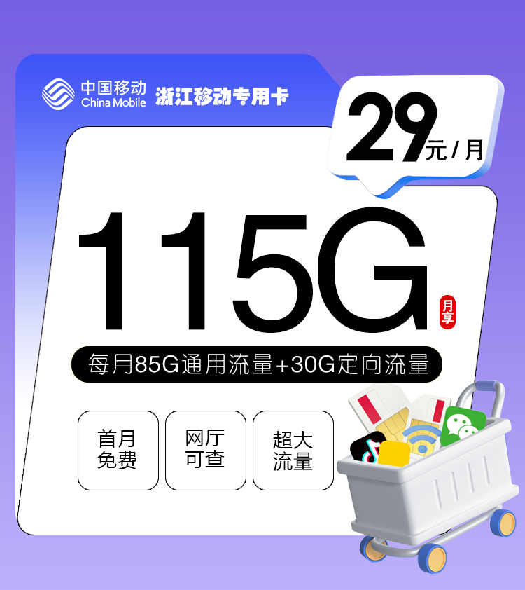 浙江移动专用卡【29元115G】 1 553b81d4983840d8a728d728820d681d