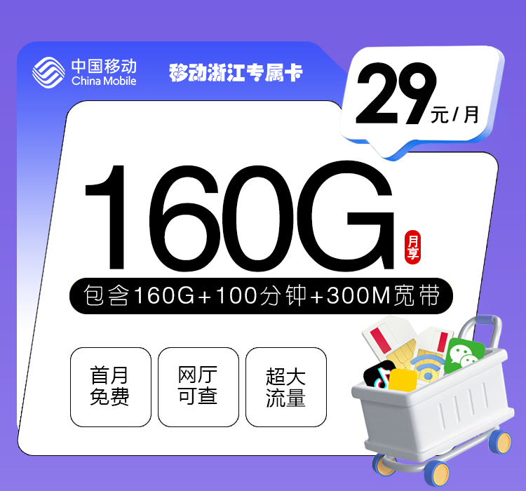 移动浙江专属卡【29元160G+100分钟+300M宽带】 1 5ac54af4789943728fc4af620a98a98b
