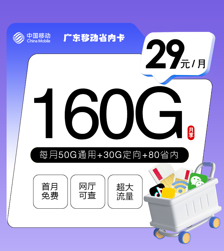 广东移动省内卡【29元160G】 1 62c530a8c091430985de3af467b64ae4